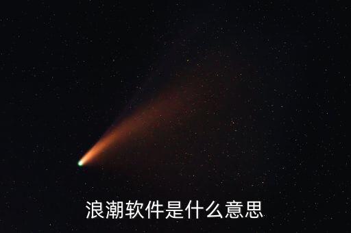 浪潮軟件是什么意思