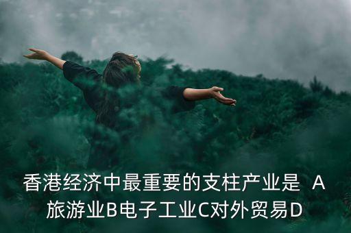 香港經(jīng)濟(jì)中最重要的支柱產(chǎn)業(yè)是  A旅游業(yè)B電子工業(yè)C對外貿(mào)易D
