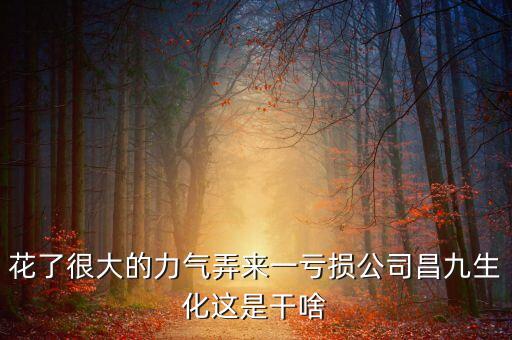 花了很大的力氣弄來一虧損公司昌九生化這是干啥
