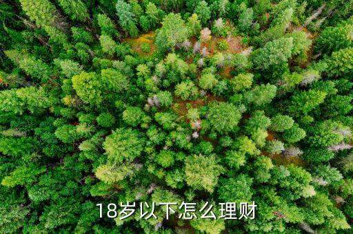 十八歲可以用錢投資什么，18歲少女適合投資什么工作