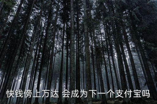 萬達(dá)快錢是做什么的，快錢是干什么的