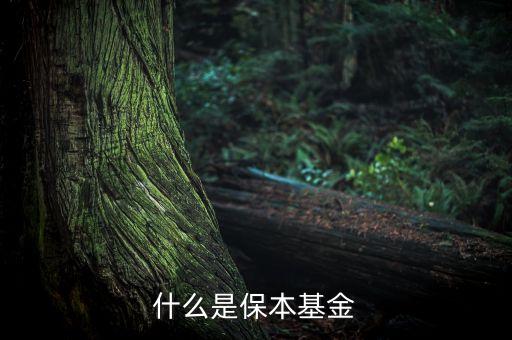 保證基金是什么，保本基金是什么意思