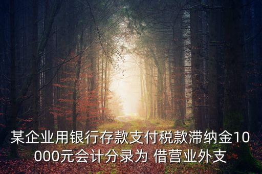某企業(yè)用銀行存款支付稅款滯納金10000元會計分錄為 借營業(yè)外支