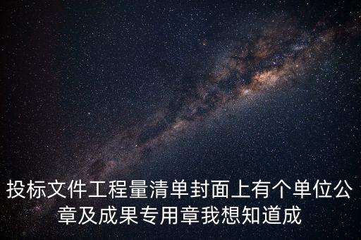 投標文件工程量清單封面上有個單位公章及成果專用章我想知道成