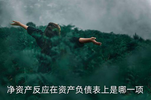 凈資產反應在資產負債表上是哪一項