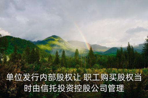單位發(fā)行內部股權讓 職工購買股權當時由信托投資控股公司管理