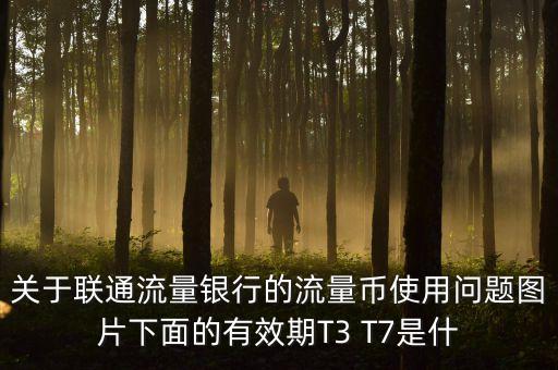 流量銀行里的T是什么意思，關(guān)于聯(lián)通流量銀行的流量幣使用問題圖片下面的有效期T3 T7是什
