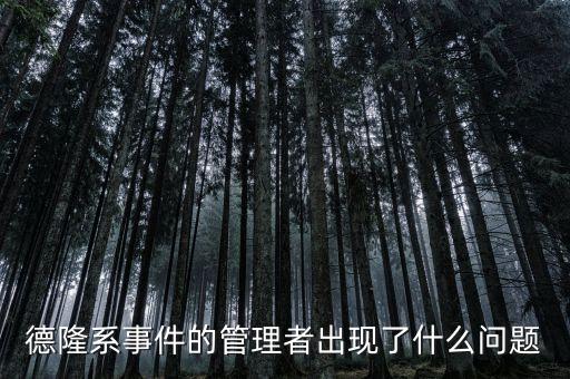 德隆系事件的管理者出現了什么問題