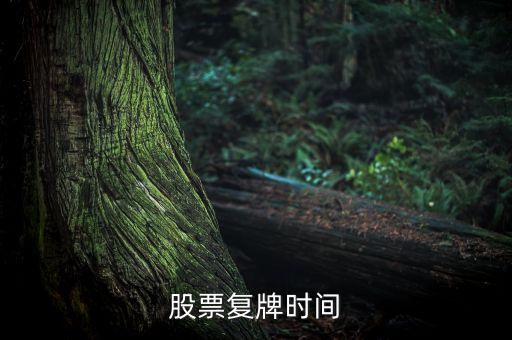 漲停的股票什么時候復牌，A股漲跌停盤了什么時候復盤