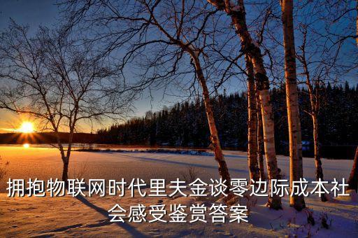 擁抱物聯(lián)網(wǎng)時(shí)代里夫金談零邊際成本社會感受鑒賞答案