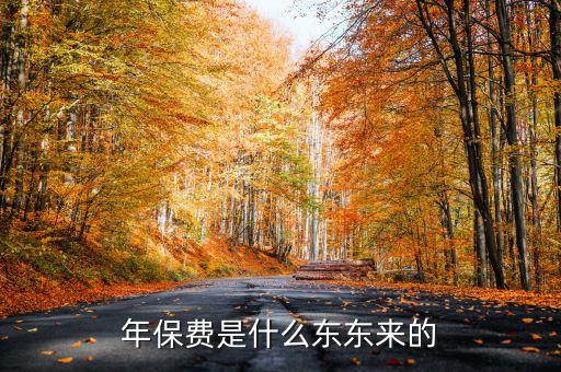 年保費(fèi)是什么東東來的