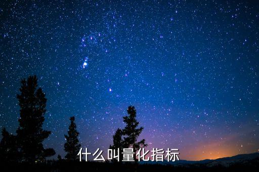什么叫量化指標