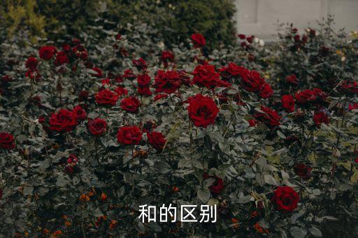 服裝的計價單位是什么，F(xiàn)OB priceUS465 此公司是出口服裝的這個報價是計量單位是什么