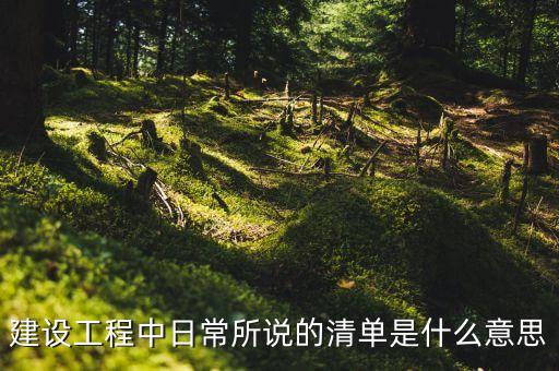 建設工程中日常所說的清單是什么意思