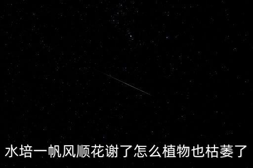 為什么簧灘恢滯花順，汽車油門沉怎麼回事
