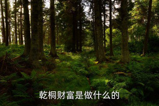 中乾財(cái)富是做什么的，乾桐財(cái)富是做什么的
