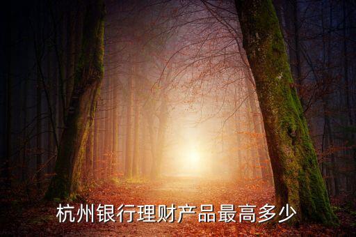 豐裕1號(hào)有什么風(fēng)險(xiǎn)，杭州銀行理財(cái)產(chǎn)品豐裕一號(hào)風(fēng)險(xiǎn)等級(jí)怎么