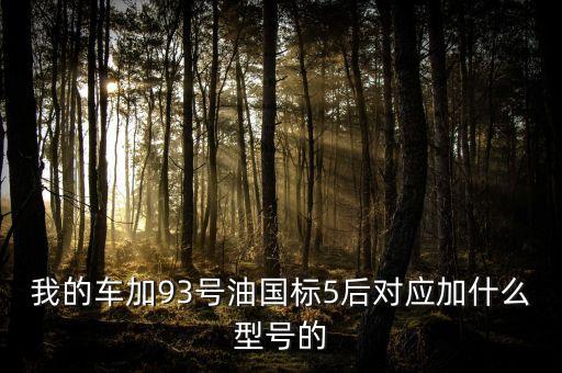 國五車加什么油，我的車加93號油國標(biāo)5后對應(yīng)加什么型號的