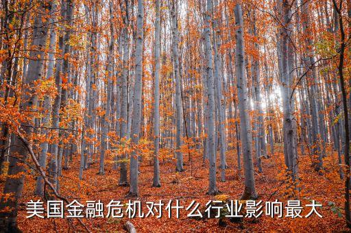 美國(guó)金融危機(jī)對(duì)什么行業(yè)影響最大