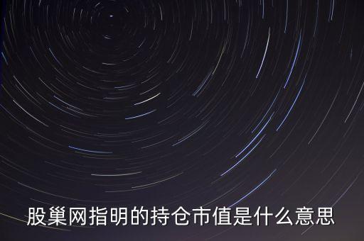 股巢網(wǎng)指明的持倉市值是什么意思