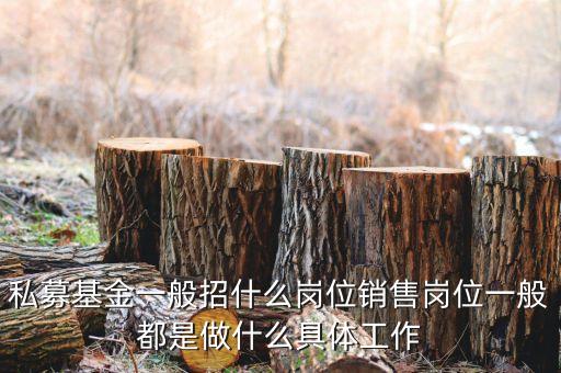 私募公司的市場(chǎng)部做什么，投資公司的市場(chǎng)部職員主要做什么