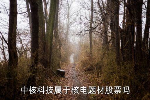 中核科技是什么板塊，中核科技屬于核電題材股票嗎