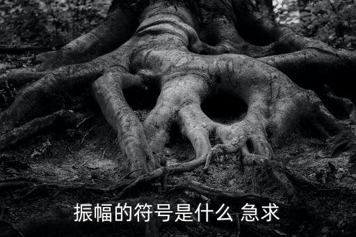 什么振幅，振幅的符號是什么 急求