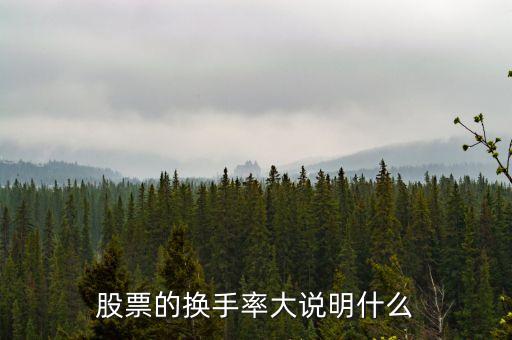 股票的換手率大說(shuō)明什么