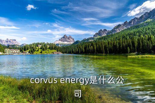 凱富能源是什么公司，corvus energy是什么公司