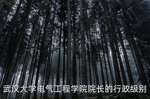 武漢大學(xué)電氣工程學(xué)院院長的行政級(jí)別