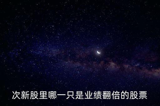 次新股里哪一只是業(yè)績翻倍的股票