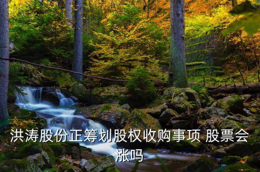 洪濤股份收購(gòu)什么公司，002325股權(quán)收購(gòu)不成功股票會(huì)漲嗎