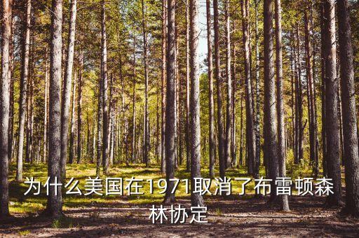 什么取代了布雷頓森林體系，布雷頓森林體系的產(chǎn)生說明了