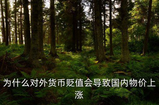 為什么對外貨幣貶值會導致國內物價上漲