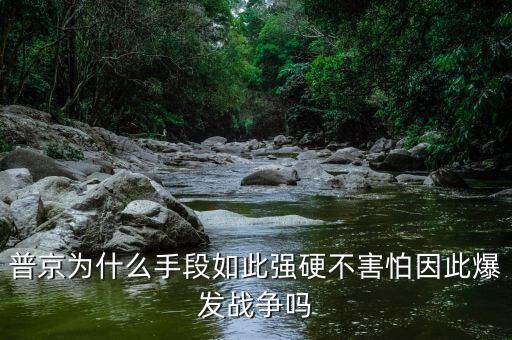 普京為什么手段如此強硬不害怕因此爆發(fā)戰(zhàn)爭嗎