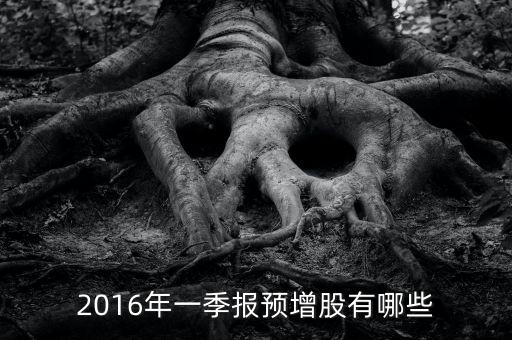 2016年什么股票能翻倍，2016年哪些是長線優(yōu)質(zhì)股