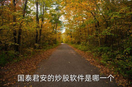 國泰君安的炒股軟件是哪一個(gè)