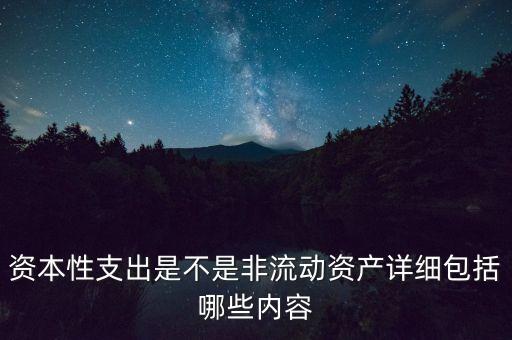 什么是非資本性支出，資本性支出是不是非流動資產(chǎn)詳細包括哪些內(nèi)容