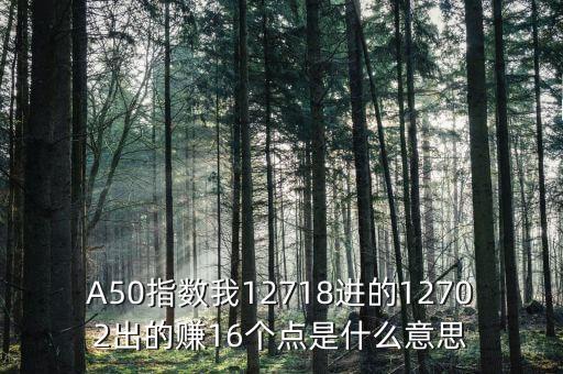 a50指數(shù)1510是什么，A50指數(shù)我12718進的12702出的賺16個點是什么意思