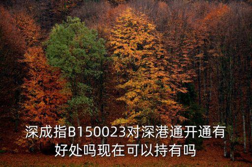 深成指B150023對(duì)深港通開(kāi)通有好處嗎現(xiàn)在可以持有嗎