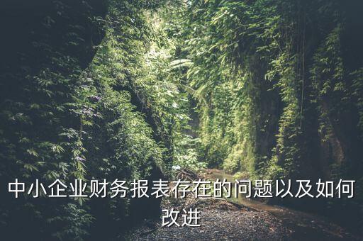 浙江廣廈在財(cái)務(wù)報表中所需改進(jìn)的建議是什么，給企業(yè)財(cái)務(wù)提意見說什么好些呢