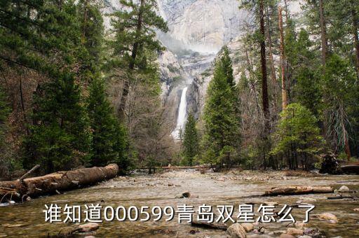 青島雙星什么時候復(fù)牌，000560各位大神知道啥時候復(fù)牌