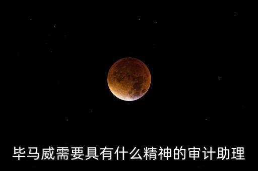 畢馬威需要具有什么精神的審計助理
