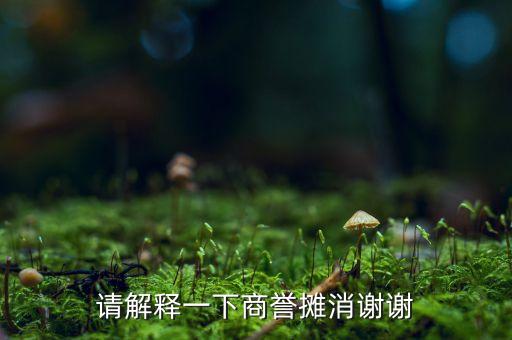 請解釋一下商譽(yù)攤消謝謝