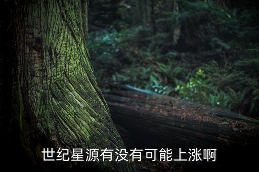 世紀(jì)星源股為什么不會(huì)漲，世紀(jì)星源有沒(méi)有可能上漲啊