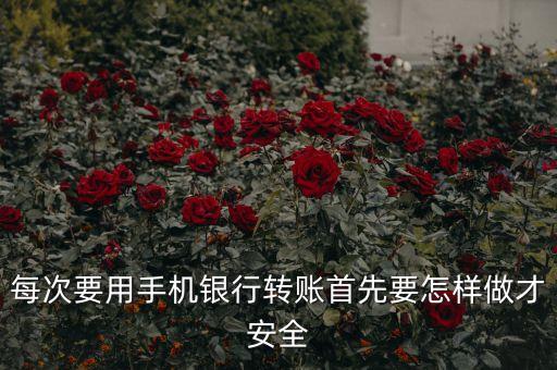 手機(jī)銀行轉(zhuǎn)賬有什么可以保護(hù)安全，手機(jī)開了手機(jī)銀行怎么保護(hù)
