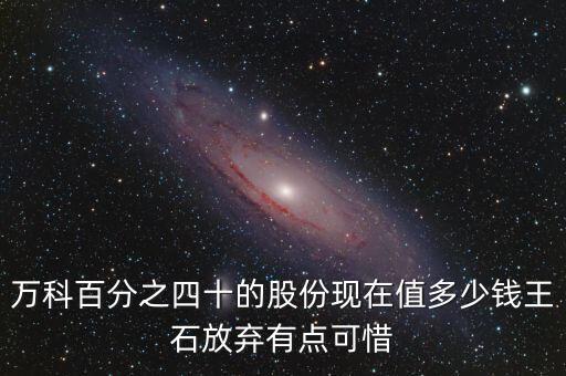 王石為什么沒有那么多錢，王石這么窮是怎么泡的田樸珺