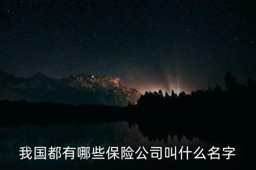 都有什么保險公司，國內(nèi)所有保險公司有哪些