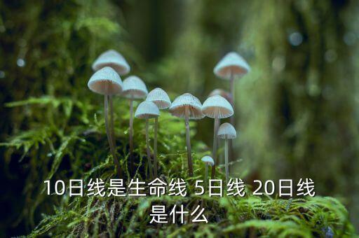 股票10日線是什么意思，十日線的定義是什么