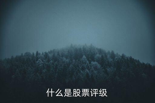 什么是股票評(píng)級(jí)